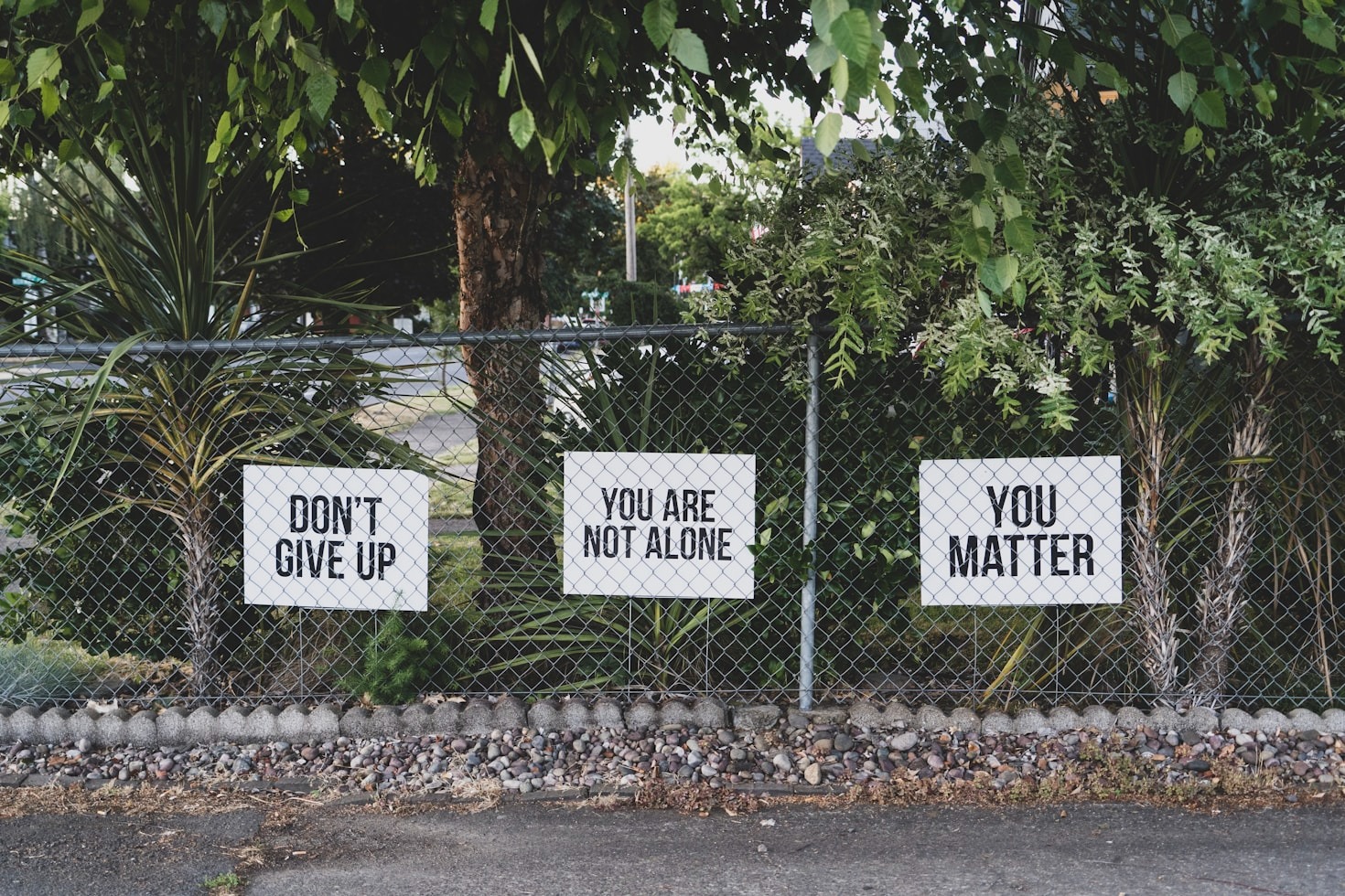 Creating a Mentally Healthier Life